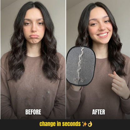 FurClean Pro remover